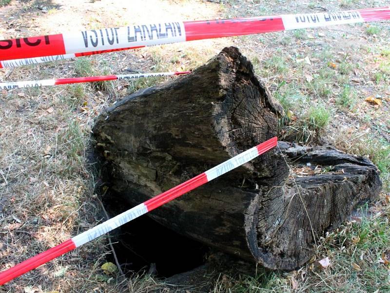 Místo ve Smetanových sadech v Olomouci, kde spadlo malé dítě do hluboké díry u pařezu nedaleko cyklostezky mezi fontánou a tržnicí