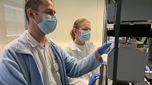 Ve špičkových laboratořích Ústavu molekulární a translační medicíny LF Olomouc provádějí velkokapacitní testování vzorků na přítomnost koronaviru SARS-CoV-2.