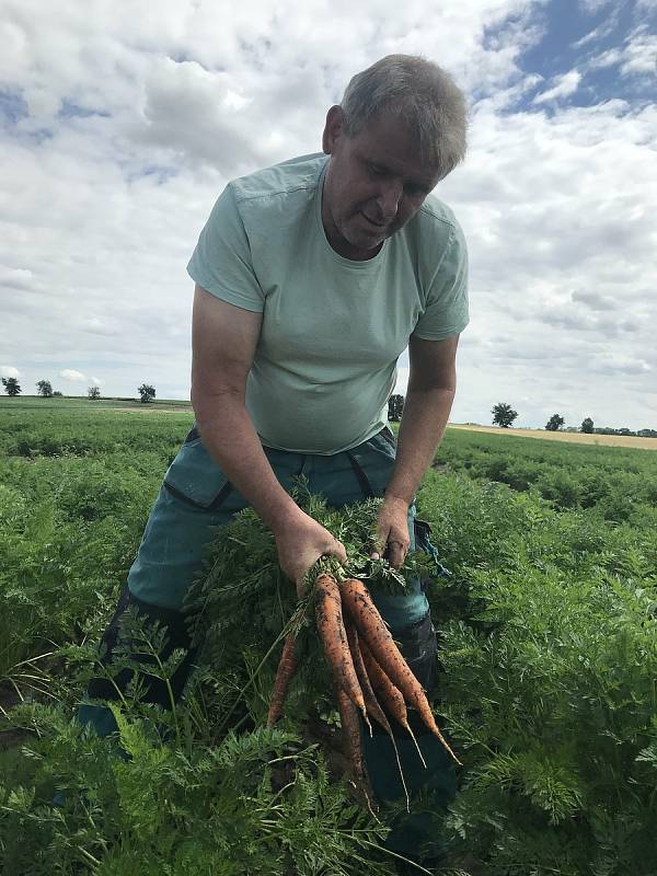 Ladislav Kašpar z Vojnic, místní část Těšetic, pěstuje zeleninu, kterou lidem nabídne k samosběru - za pár korun.