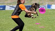 To nejlepší z Dogfrisbee jde o víkendu k vidění v Olomouci