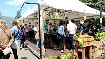 Stovky lidí zaplnily v sobotu Smetanovy sady Výstaviště Flora Olomouc. Přilákal je tam už druhý ročník dobrého jídla a pití Garden Food Festival.