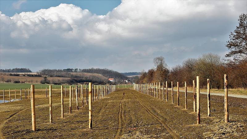 Vznikající biocentrum v Senici na Hané. Probíhá napouštění nádrže a chystá se výsadba zeleně, 27. 2. 2022