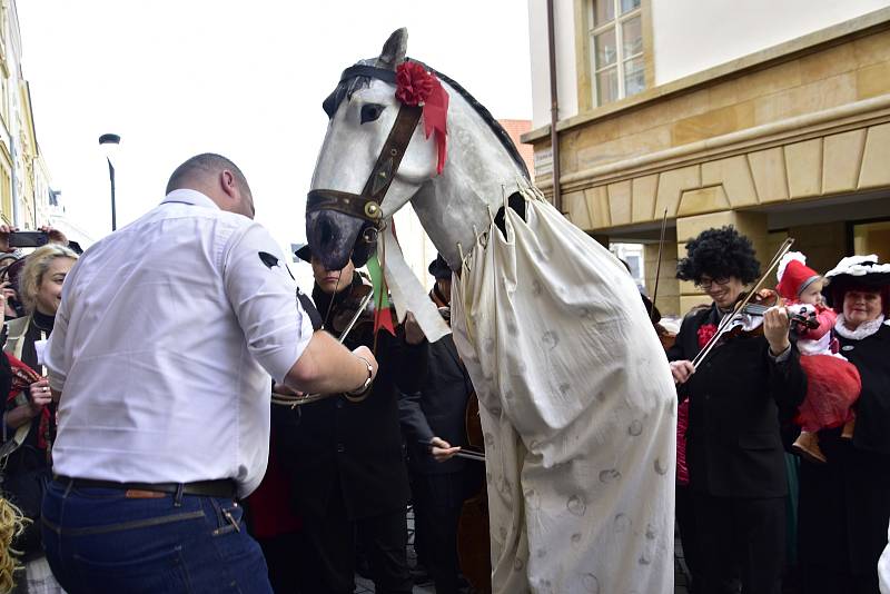 Masopustní veselí v Olomouci, 15. 2. 2020