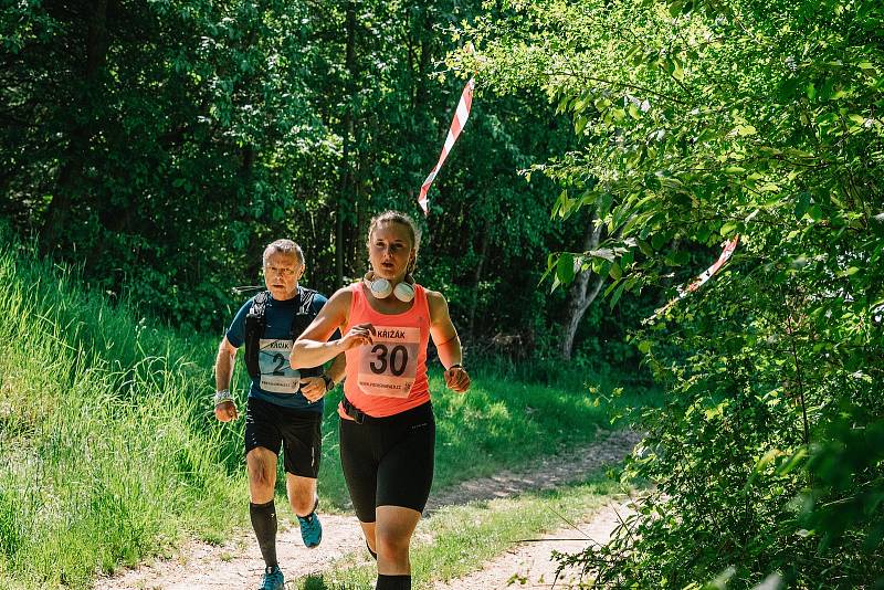 Křižák - Běh na Křížový vrch či půlmaraton. Foto se souhlasem organizátora