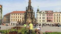 Historické centrum Olomouc oživí letní květinová výzdoba. Zahradníci z výstaviště Flora již sázejí letničky.