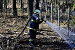 Hasiči zasahují u požáru lesa v Olbramicích