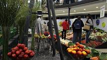 Podzimní etapa Flory, zahradnické trhy a festival gastronomie a nápojů Olima