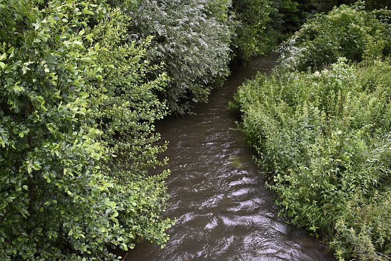 Vytrvalé deště zvedly i hladinu prostějovské říčky Hloučely. 20.6. 2020