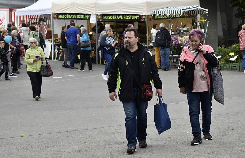 Olomoucká Flora nabídla rozmanitost podzimních barev. 1.10. 2022