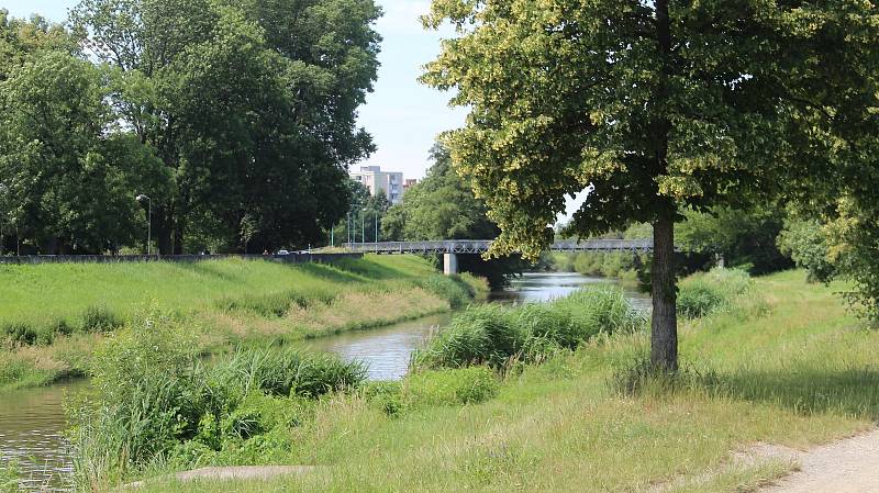 Řeka Morava v Olomouci mezi Klášterním Hradiskem a mostem v Komenského ulici - lávka pro pěší