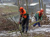 Kácení u řeky Moravy v centru Olomouce kvůli další etapě protipovodňových opatření