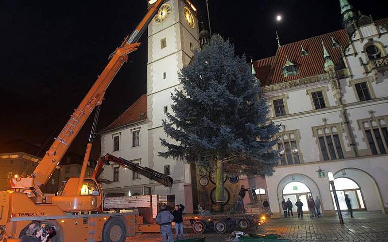 Usazení vánočního stromu na Horním náměstí 