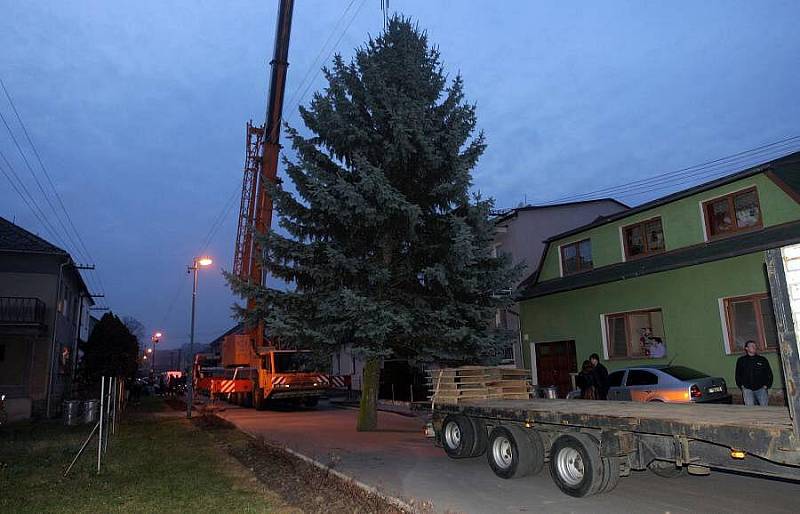 Přesun vánočního stromu v Hviezdoslavově ulici v Nemilanech 