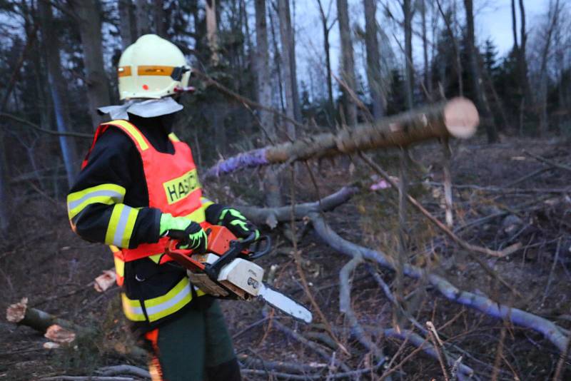 Ve středu se Olomouckým krajem znovu prohnal silný vítr. Zanechal po sobě popadané stromy i poškozené střechy. Oproti předpovědi i víkendové vichřici ale byla situace o poznání klidnější