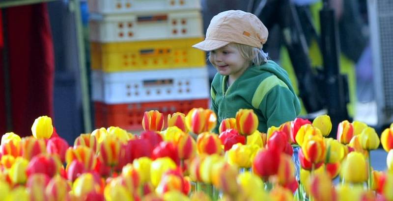 Na výstavě květin Flora Olomouc. 