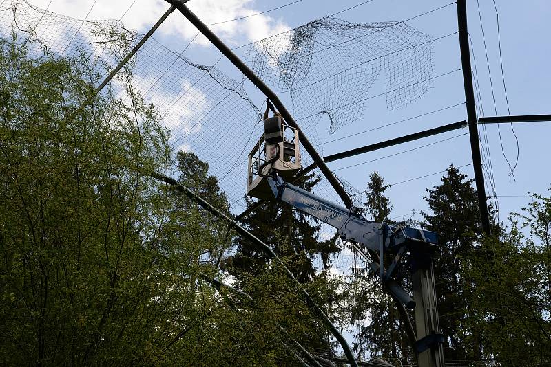 Olomoucká zoo dokončuje atraktivní novinku - průchozí ptačí voliéru. Ta prošla rekonstrukcí a nyní se ještě čeká na výstavbu zimoviště a cesty pro návštěvníky.