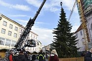 Instalace vánočního smrku na Horním náměstí v Olomouci, 16. 11. 2019