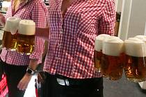 Soutěžte s Deníkem Rovnost a brněnskou pivnicí Lucky Bastard Beerhouse o vstupenky na řízenou degustaci pražského minipivovaru Sibeeria.