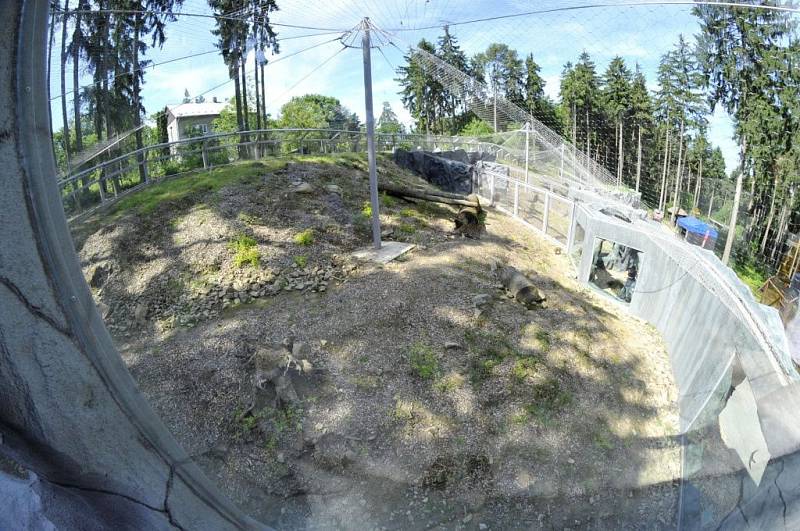 Nový výběh pro levharty mandžuské v olomoucké zoo