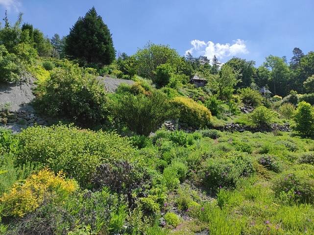 Návštěva arboreta Makču Pikču Paseka