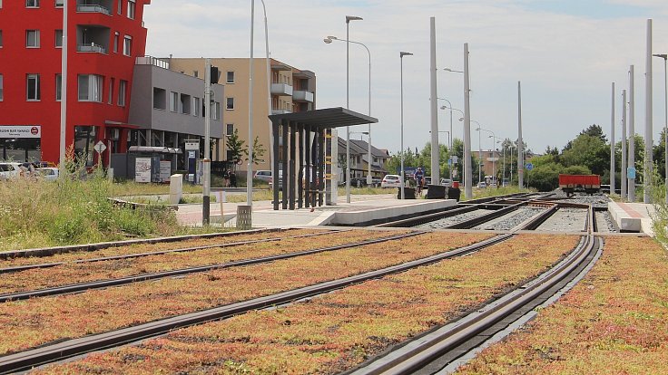 Stavba tramvajové trati ve Schweitzerově ulici v Olomouci - mezi kolejemi jsou pásy s rostlinami - 14. července 2022