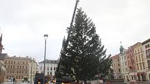 Kácení vánočního stromu v Olomouci