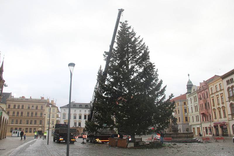 Kácení vánočního stromu v Olomouci