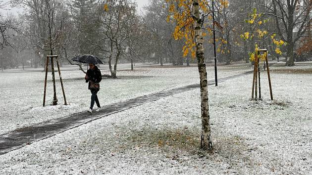 První sníh loňské zimy v Olomouci. 26. listopadu 2021