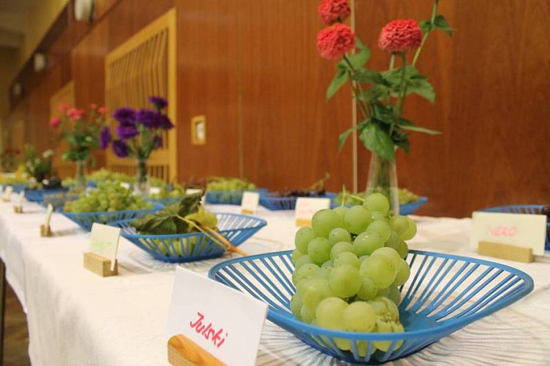 Výstava zeleniny, ovoce a květin ve Velkém Týnci