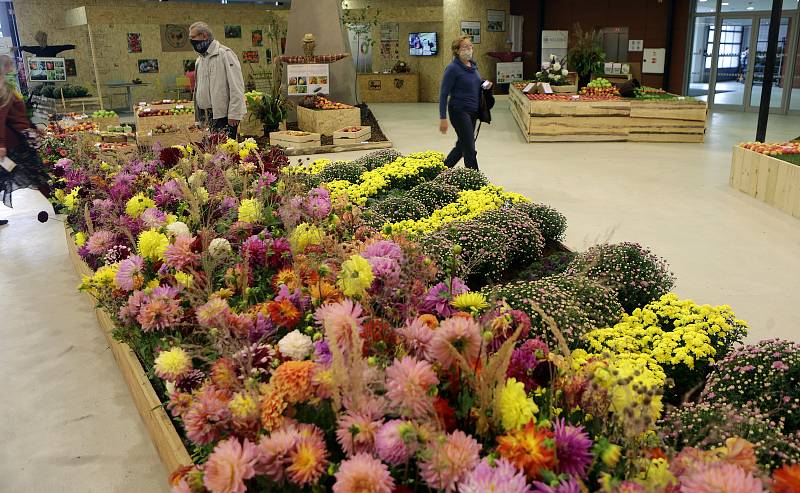 Podzimní etapa výstavy Flora Olomouc. 1. října 2020