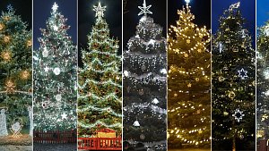Hledá se nejkrásnější vánoční strom 2023.