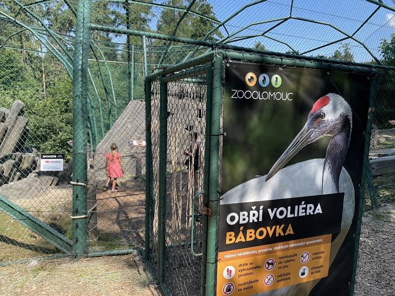 Průchozí ptačí voliéra Bábovka v olomoucké zoo