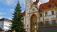 Na Horním náměstí v Olomouci už stojí vánoční strom a voní punč. 12. listopadu 2023