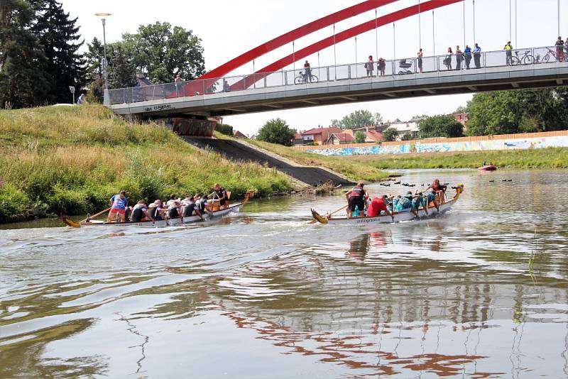 Dračí lodě od sobotního rána čeří vodu řeky Moravy u Dětského centra Ostrůvek na Nových Sadech v Olomouci.