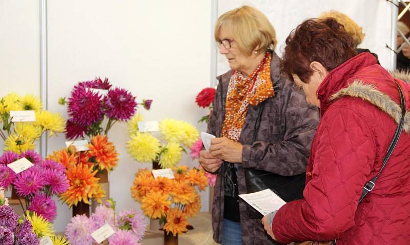 Podzimní Flora Olomouc 2019