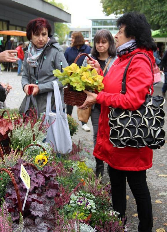 Podzimní Flora Olomouc 2019