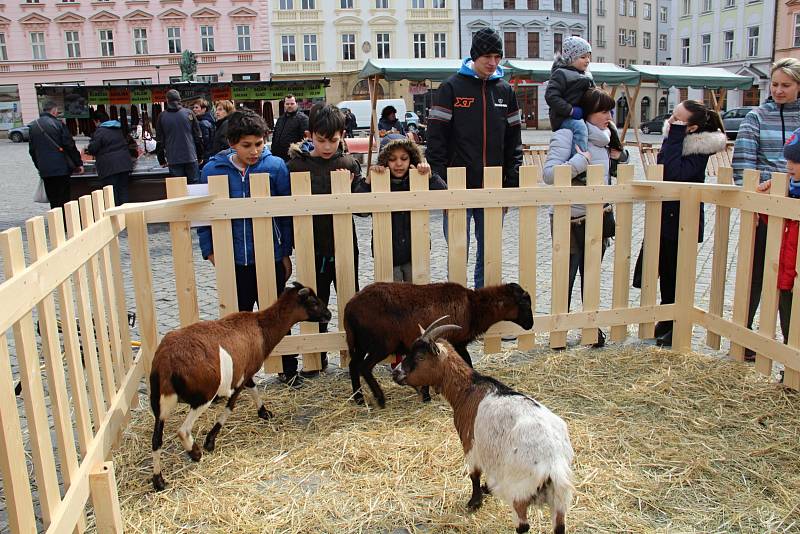 Farmářské trhy a řemeslný jarmark na Horním náměstí v Olomouci