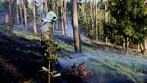 Likvidace požáru lesa v Náměšti na Hané