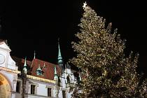 Vánoční strom v Olomouci. Ilustrační foto