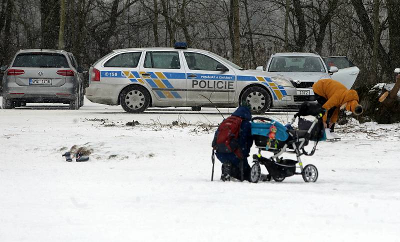 Někdo brusle, někdo plavky. Zamrzlé přírodní koupaliště Poděbrady v sobotu 13.2.2021. Množství bruslařů doplňovali otužilci.