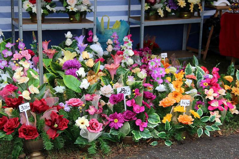 Podzimní Flora Olomouc 2019