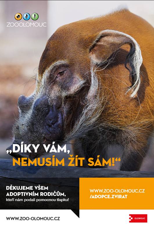 Zbrusu nový vizuál, kterým Zoologická zahrada Olomouc děkuje adoptivním rodičům zvířat