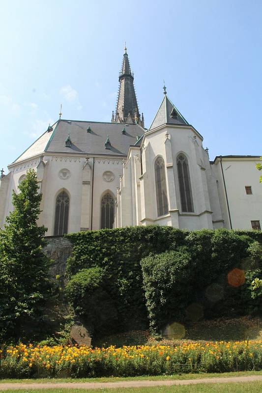 V parku pod katedrálou svatého Václava v těchto dnech do dálky září záhon barevných lilií.