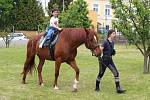 Dětské odpoledne na ZŠ Svatoplukova ve Šternberku: tetování i jízda na koni