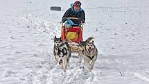 Musher psího spřežení Jaroslav Charouz z Komárova