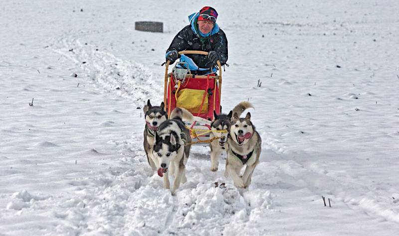 Musher psího spřežení Jaroslav Charouz z Komárova