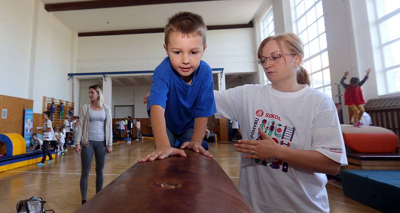 Projekt pro děti ze školek Svět nekončí za vrátky, cvičíme se zvířátky v olomoucké sokolovně