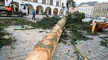 Kácení vánočního stromu na Horním náměstí v Olomouci 