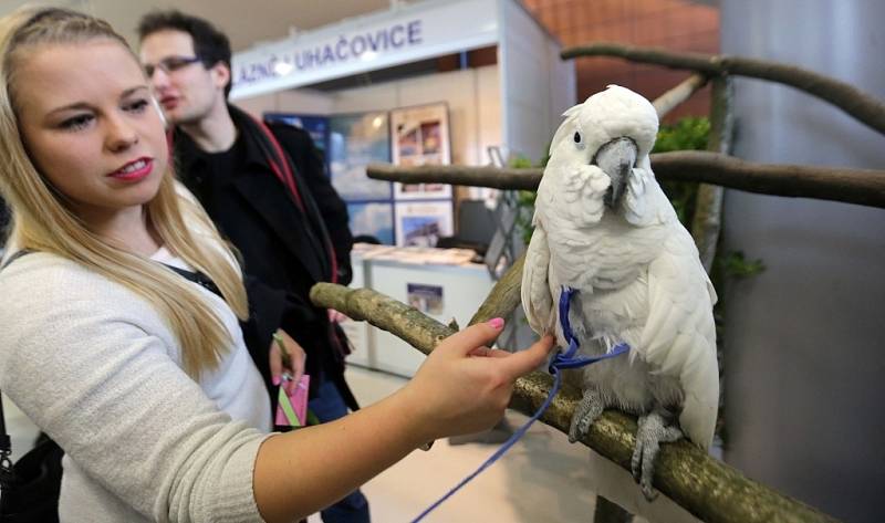 Tourism Expo na olomouckém výstavišti