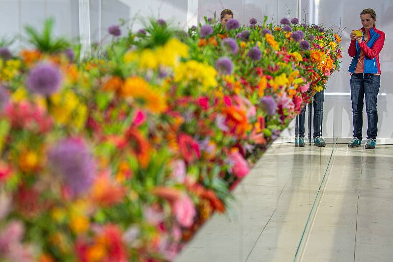 Jarní etapa květinové a zahradnické výstavy Flora Olomouc, 21. dubna 2022. Hlavní expozice v pavilonu A nese název Květy a světy. Výstava končí 24. dubna.